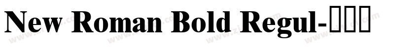 New Roman Bold Regul字体转换